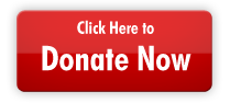 Donate Now