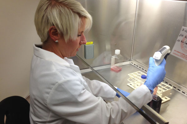 Stefanie extracting resting cells