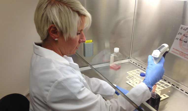 Preparing to Test Prostratin on Human Reservoir Cells