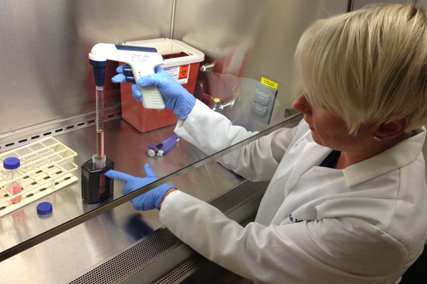 Stefanie looking at the cell solution