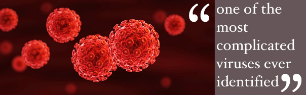 HeaderDonate